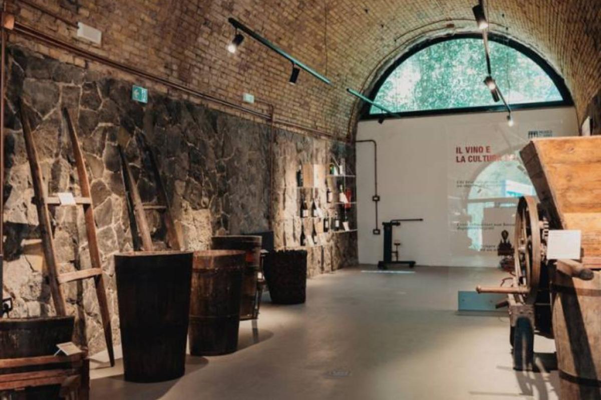 Museo del Vino di Monte Porzio Catone - dal sito https://museodelvinompc.it/