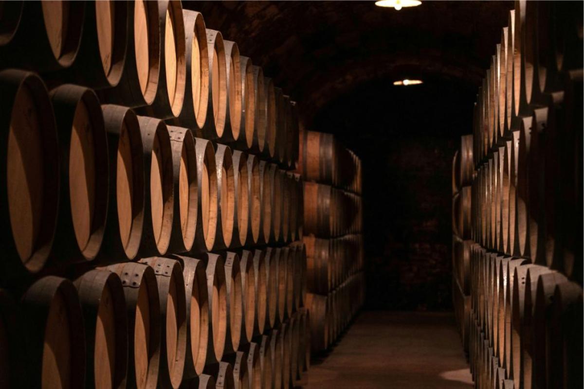 Botti di vino - Foto di Ramon Perucho: https://www.pexels.com/it-it/foto/in-legno-vino-corridoio-azienda-vinicola-19772196/