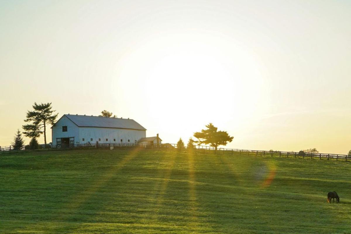 Fattoria - Foto di Brandon Randolph: https://www.pexels.com/it-it/foto/casa-bianca-accanto-al-campo-di-erba-2042161/