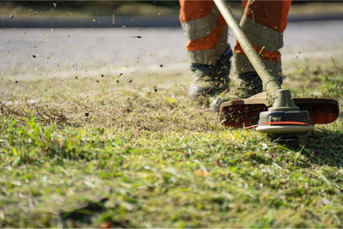 Decespugliatore - Foto di Pascal Küffer: https://www.pexels.com/it-it/foto/erba-prato-taglio-tagliando-11400234/