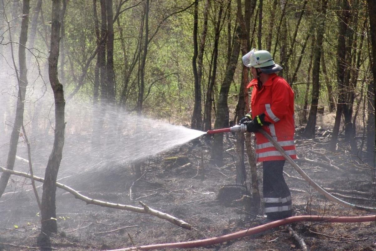 Vigili del fuoco - Foto di <a href="https://pixabay.com/it/users/beeki-2666/?utm_source=link-attribution&utm_medium=referral&utm_campaign=image&utm_content=86866">Dirk (Beeki®) Schumacher</a> da <a href="https://pixabay.com/it//?utm_source=link-attribution&utm_medium=referral&utm_campaign=image&utm_content=86866">Pixabay</a>
