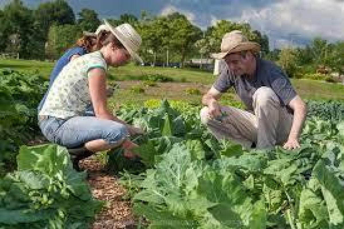 giovani agricoltura