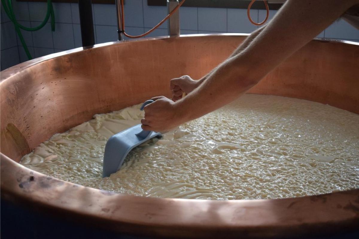 Formaggio - Foto di <a href="https://pixabay.com/it/users/dyhuettner-5009396/?utm_source=link-attribution&utm_medium=referral&utm_campaign=image&utm_content=3569959">dyhuettner</a> da <a href="https://pixabay.com/it//?utm_source=link-attribution&utm_medium=referral&utm_campaign=image&utm_content=3569959">Pixabay</a>
