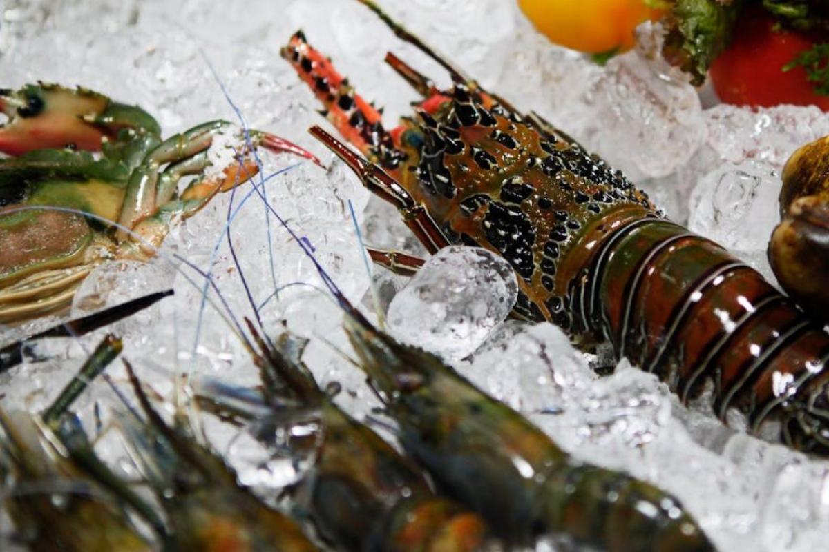 Crostacei - Foto di Vikki: https://www.pexels.com/it-it/foto/cibo-aragosta-crudo-frutti-di-mare-10545132/