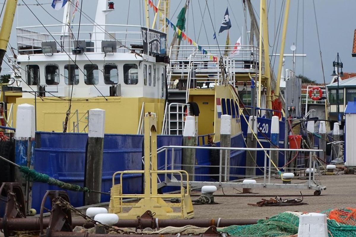 Navi pesca - Foto di <a href="https://pixabay.com/it/users/lintorfer-11207394/?utm_source=link-attribution&utm_medium=referral&utm_campaign=image&utm_content=6933584">Lintorfer</a> da <a href="https://pixabay.com/it//?utm_source=link-attribution&utm_medium=referral&utm_campaign=image&utm_content=6933584">Pixabay</a>