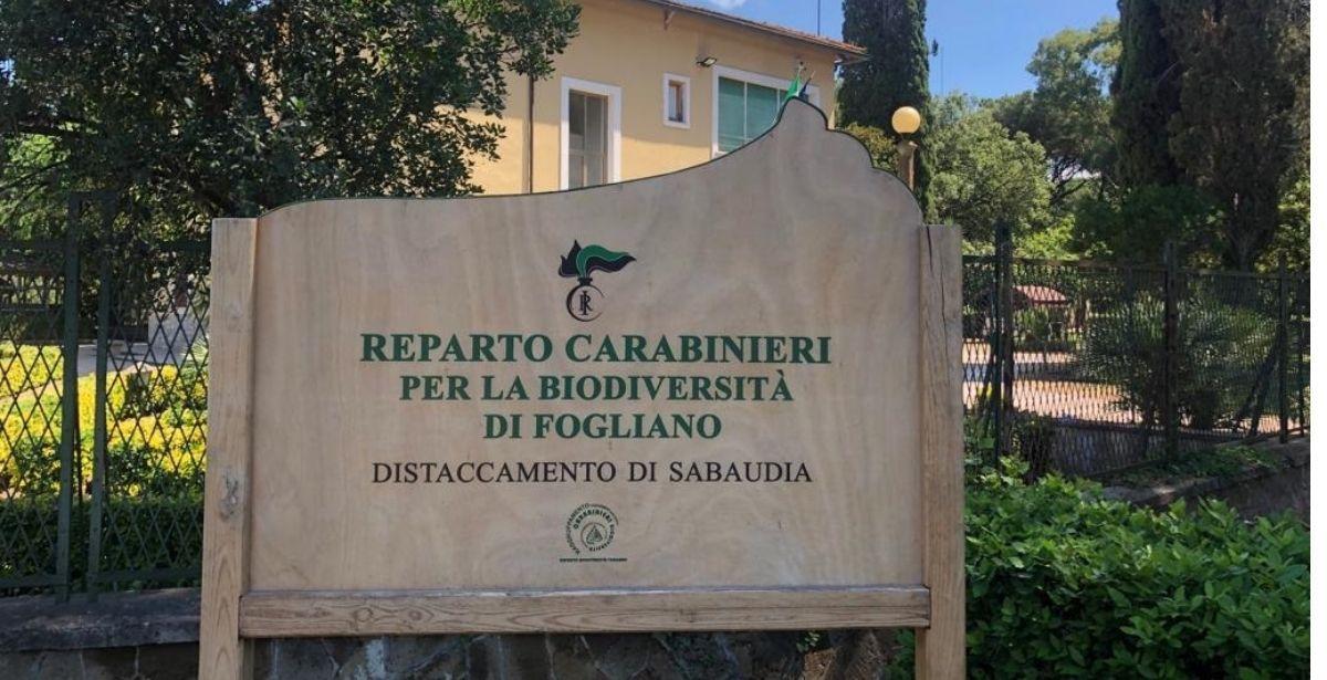Carabinieri Fogliano