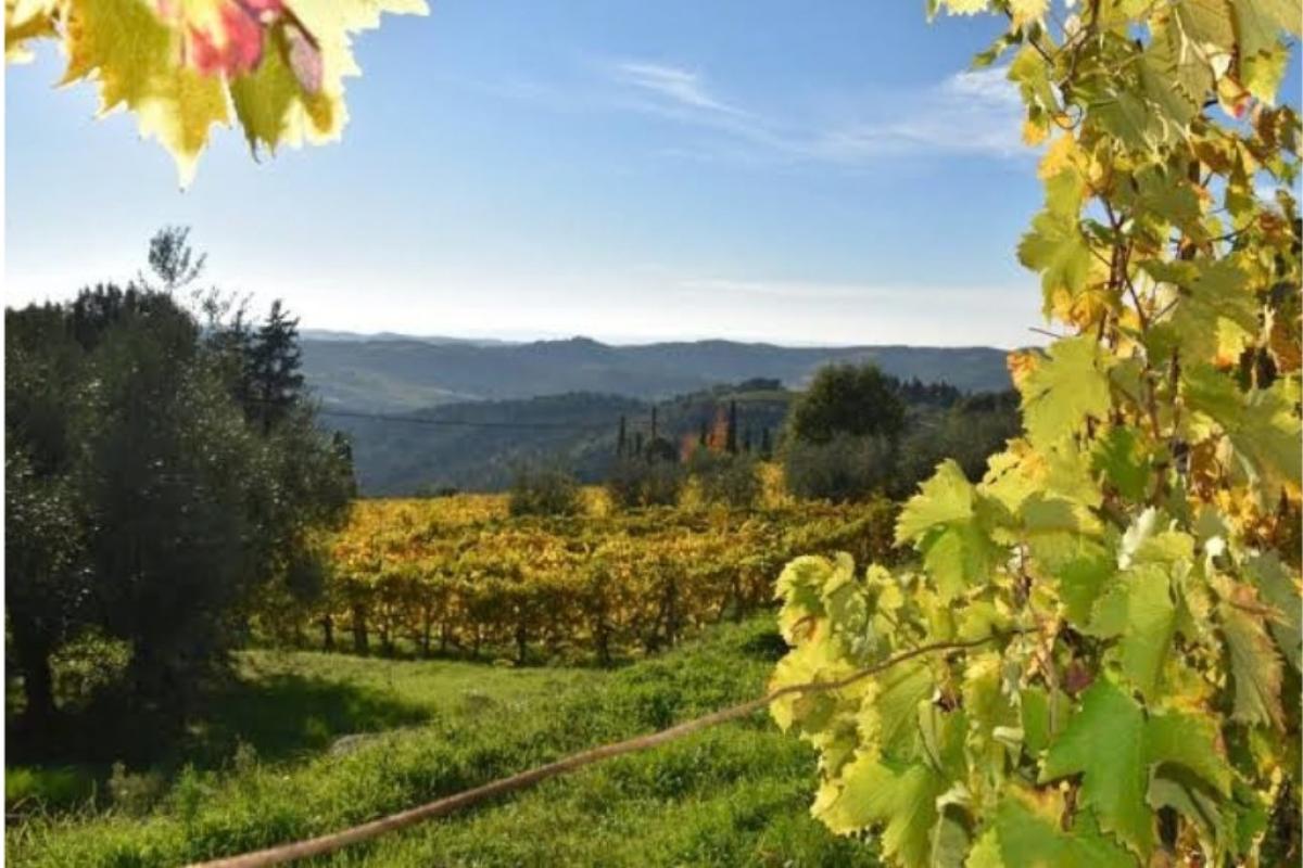 paesaggio agricolo