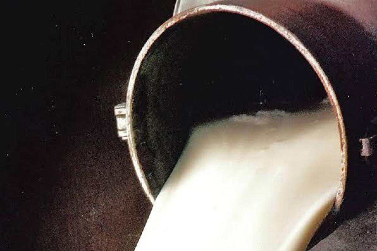 latte bovino
